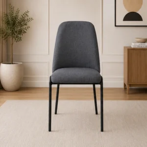 Lot de Chaises Design Luxe - Chaises Modernes pour Salle de Séjour
