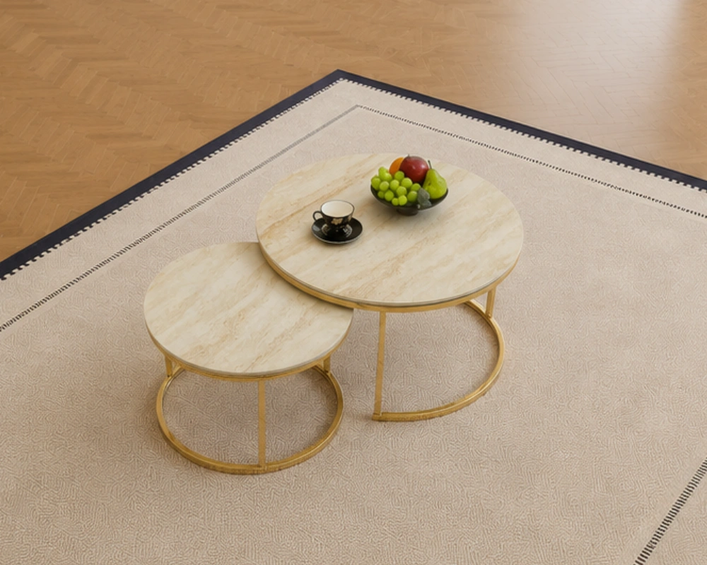 Table Basse de Salon - Design Contemporain et Finition Soignée